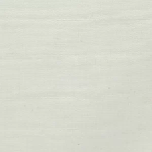 Rayon Cotton Canvas